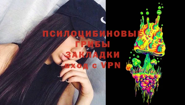 гидропоника Елабуга